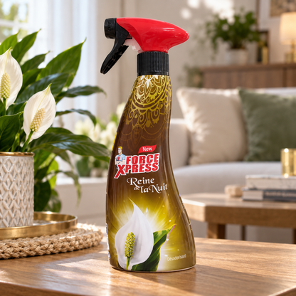Force Xpress Reine de la Nuit 430 ml – désodorisant en situation dans un intérieur