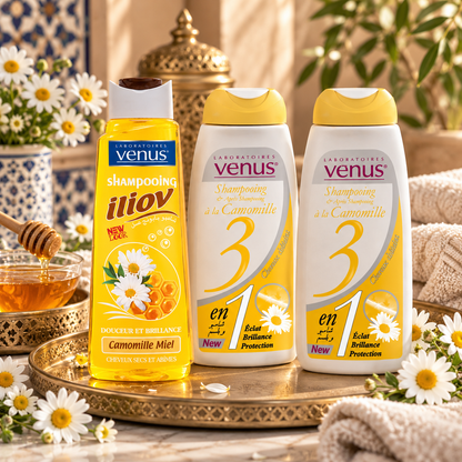 Pack trois shampoings Vénus Camomille sur plateau doré dans une ambiance chaleureuse aux fleurs de camomille